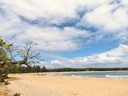Foto von Plage Ampandrozonana mit lange, gerade küste