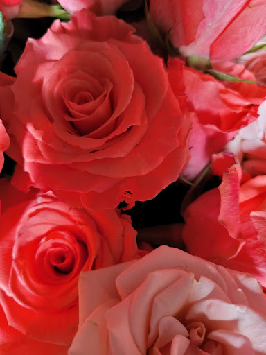 Florist «Events in Bloom», reviews and photos, 9637 Palm River Rd, Tampa, FL 33619, USA