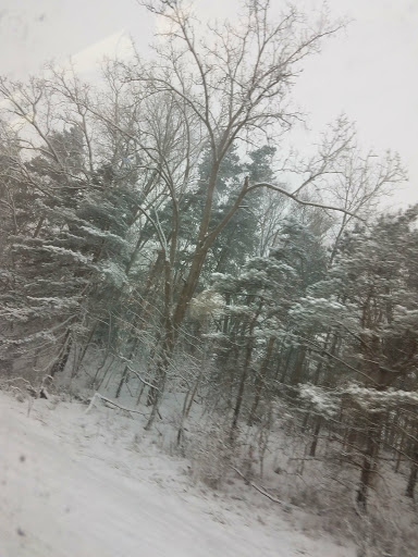 Golf Club «Thornapple Pointe», reviews and photos, 7211 48th St SE, Grand Rapids, MI 49512, USA