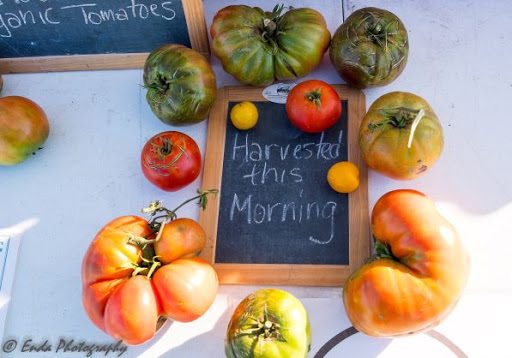 Produce Market «Maple Grove Farmers Market», reviews and photos, 12951 Weaver Lake Rd, Maple Grove, MN 55369, USA