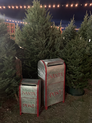 Ross Family Christmas Trees