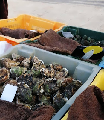 Coquillages du Vieux-Port de Marseille - Sonia et Ahmar Bendjema à Marseille