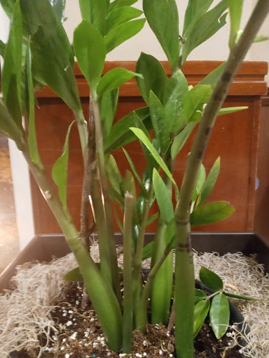 Casino «Grand Victoria Casino», reviews and photos, 250 S Grove Ave, Elgin, IL 60120, USA