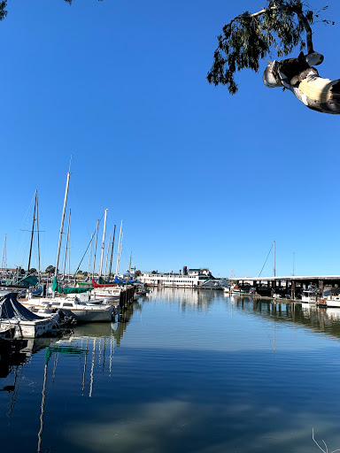 Coffee Shop «Panama Bay Coffee», reviews and photos, 289 Mare Island Way, Vallejo, CA 94590, USA