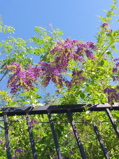 Recreation Center «Ahwatukee Recreation Center», reviews and photos, 5001 E Cheyenne Dr, Phoenix, AZ 85044, USA