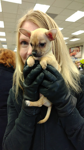 Pet Supply Store «Petco Animal Supplies», reviews and photos, 7215 170th Ave NE #115, Redmond, WA 98052, USA