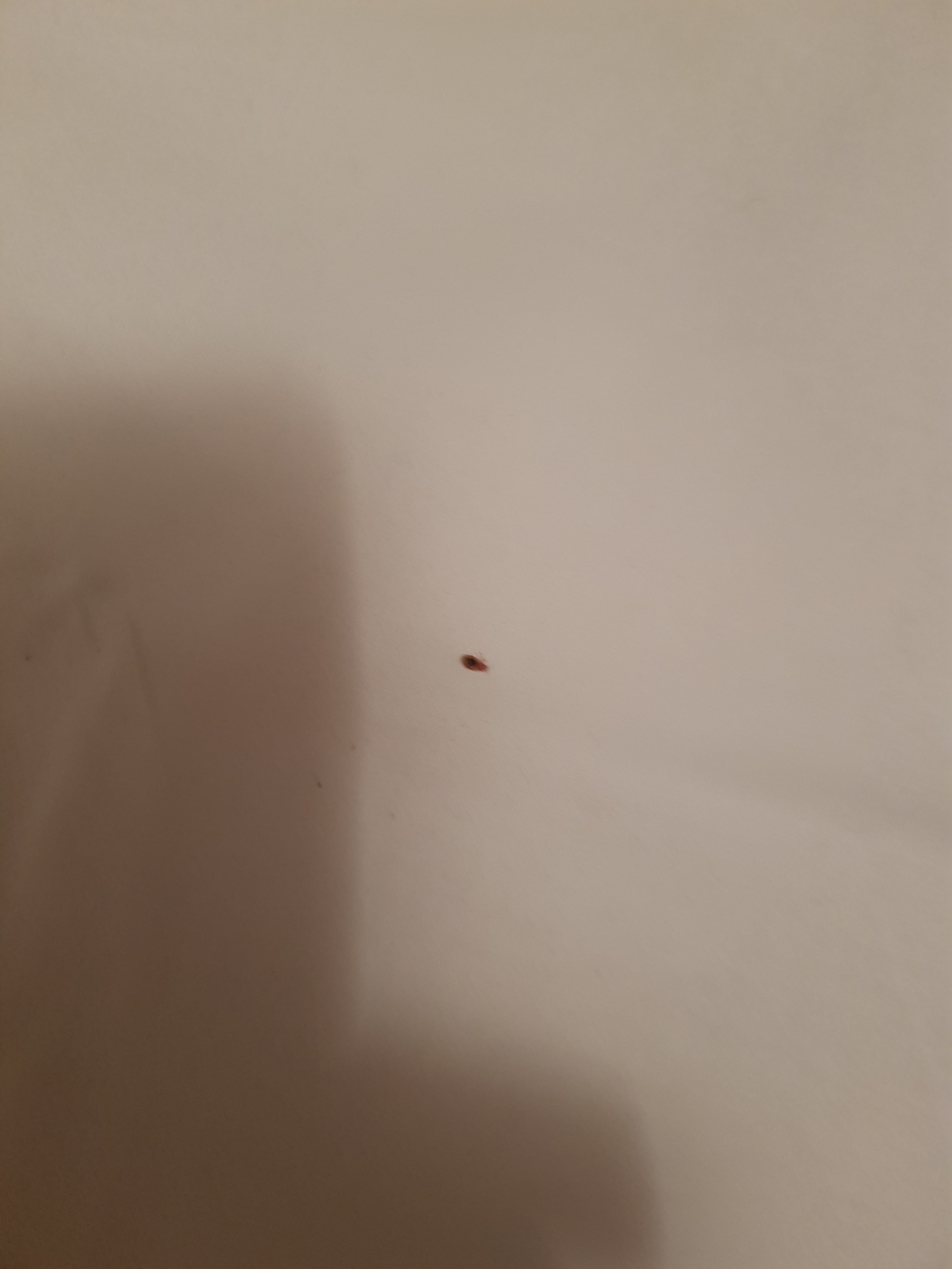 Photo n° 2 de l'avis de Eric.a fait le 21/05/2019 à 08:56