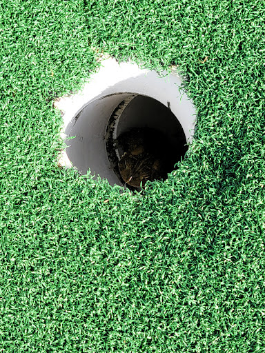 Golf Club «Tee-To-Green Golf Center», reviews and photos, 1501 Montour Blvd, Danville, PA 17821, USA