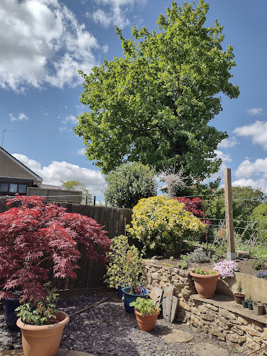 Convenience Store «Walgreens», reviews and photos, 1802 Main St, Chester, MD 21619, USA