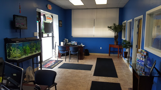 Used Car Dealer «Car Nation», reviews and photos, 1075 Newfield St, Middletown, CT 06457, USA