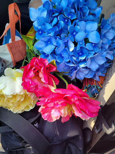 Craft Store «Michaels», reviews and photos, 10352 E US Hwy 36, Avon, IN 46123, USA