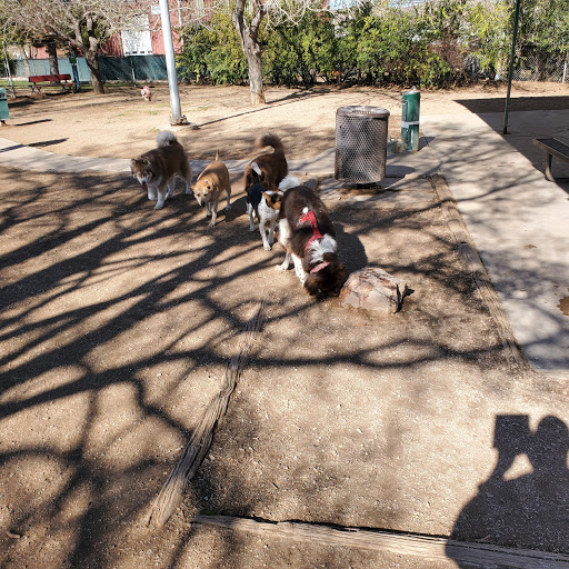 Park «Lewis Kingman Park», reviews and photos, 2201 E Andy Devine Ave, Kingman, AZ 86401, USA