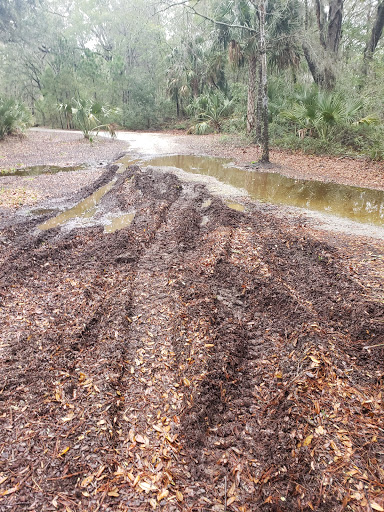 Lumber Store «Buck Lumber & Building Supply Inc», reviews and photos, 1911 Maybank Hwy, Charleston, SC 29412, USA