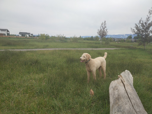 Animal Park «Dog Park At Gallatin County Regional Park (13 Acre w Pond)», reviews and photos, 3900 Baxter Ln, Bozeman, MT 59718, USA