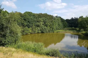 Natuurpoort Landgoed Wolfslaar image