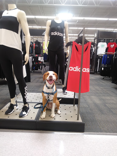 Sporting Goods Store «Academy Sports + Outdoors», reviews and photos, 8675 Concord Mills Boulevard, Concord, NC 28027, USA