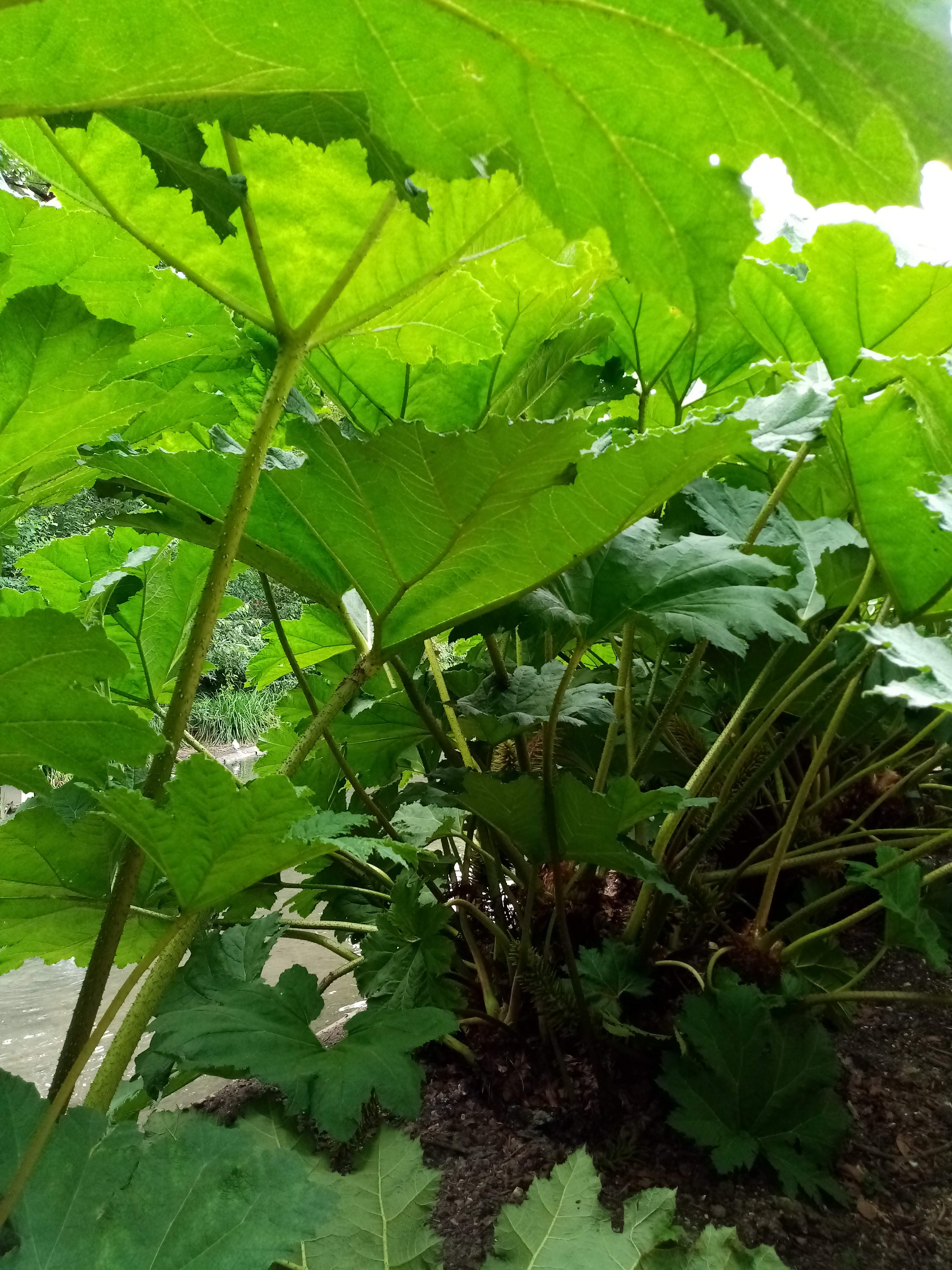 Photo n° 36 de l'avis de Marielaure.a fait le 25/07/2023 à 19:08