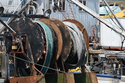 Whale Watching Tour Agency «Cape Ann Whale Watch», reviews and photos, 415 Main St, Gloucester, MA 01930, USA