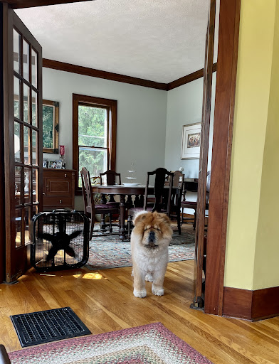 Sherry's Pet Grooming