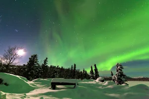 Alaska-Wildlife-Guide LLC image