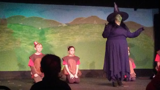 Movie Theater «Tennessee Valley Theatre», reviews and photos, 184 W Jackson Ave, Spring City, TN 37381, USA