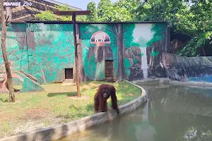 Plaplay Zoo (Indoor Theme Park) image