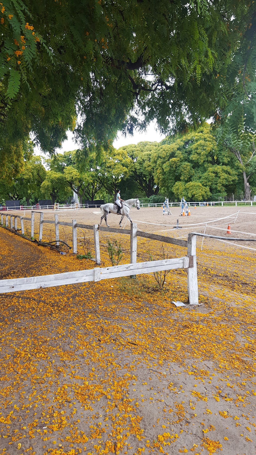 Club Hípico Buenos Aires