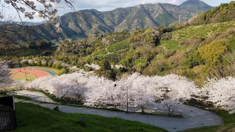 丸山公園 遊具場