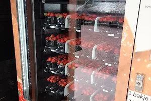 Strawberry vending machine (Vermeulen Softfruit) image