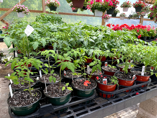 Florist «Petals & Paws», reviews and photos, 465 Albany Turnpike, Canton, CT 06019, USA