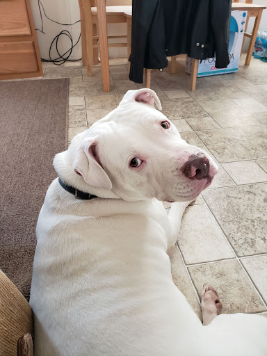 Pet Store «Paw Prints & Fishtails», reviews and photos, 1318 2nd Ave W, Williston, ND 58801, USA