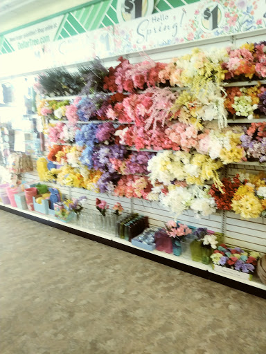 Dollar Store «Dollar Tree», reviews and photos, 1245 MacDade Boulevard, Woodlyn, PA 19094, USA