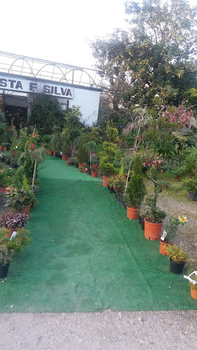 Comentários e avaliações sobre o Viveiros C. Silva - Comercialização De Plantas E Construção De Jardins, Lda.