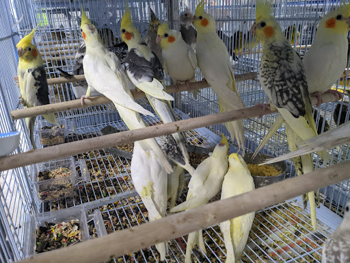 Pet Supply Store «Neighborhood Pet Shop», reviews and photos, 574 Hialeah Dr, Hialeah, FL 33010, USA