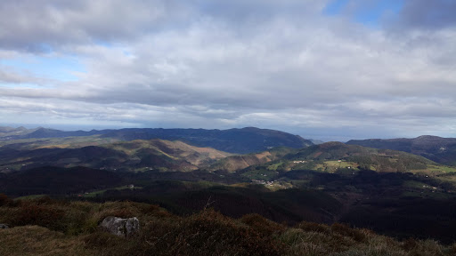 Weely | Recogida, Planchado y Entrega a Domicilio