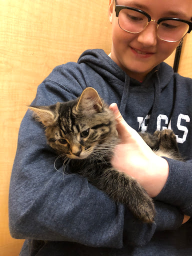 Pet Supply Store «PetSmart», reviews and photos, 10309 156th St E, Puyallup, WA 98373, USA