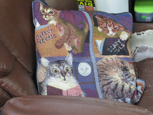 Book Store «Brazos Books», reviews and photos, 1412 N Valley Mills Dr, Waco, TX 76710, USA