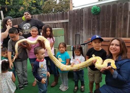 Reptile Store «Paramount Pet Entertainment - Reptile Parties & more!», reviews and photos, 8055 Rosecrans Ave #107, Paramount, CA 90723, USA