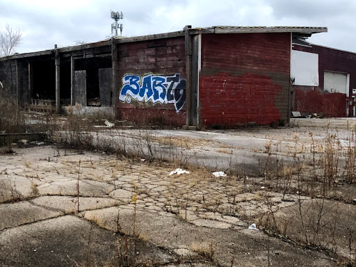 Dollar Store «Dollar Tree», reviews and photos, 6405 W North Ave, Oak Park, IL 60302, USA