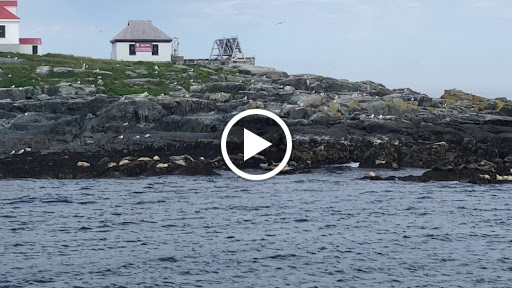 Tourist Attraction «Acadian Boat Tours», reviews and photos, 119 Eden St, Bar Harbor, ME 04609, USA