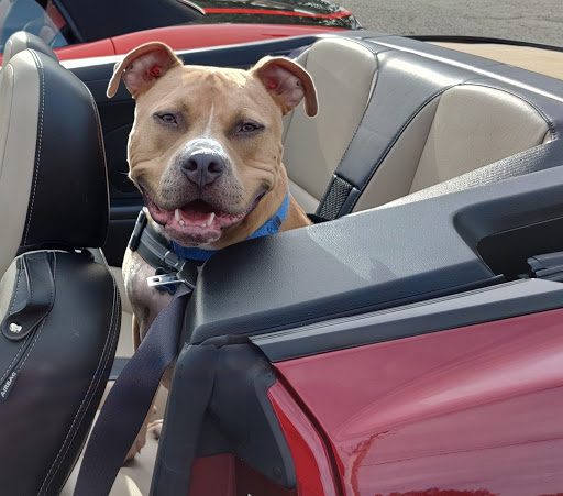 Outstanding Car Detail en Richmond