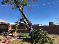 ALG Pro Landscaping & Tree Removal Services - Photo 5 - Car repair in , Tempe
