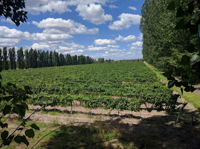 Vinos Nival | Vino Malbec argentino
