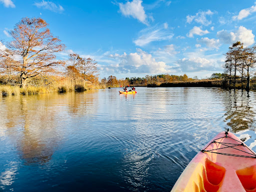Surf Shop «Surf & Adventure Co.», reviews and photos, 577 Sandbridge Rd, Virginia Beach, VA 23456, USA