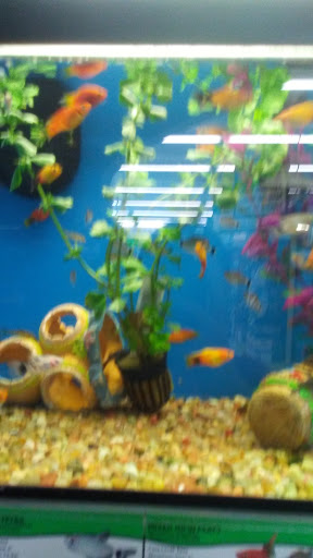 Pet Supply Store «Pet Supplies Plus», reviews and photos, 1377 N 21st St, Newark, OH 43055, USA