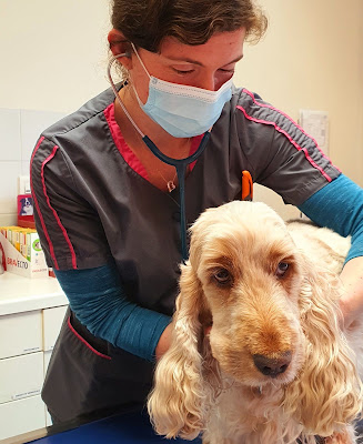 Clinique vétérinaire des Sablons à Chartres
