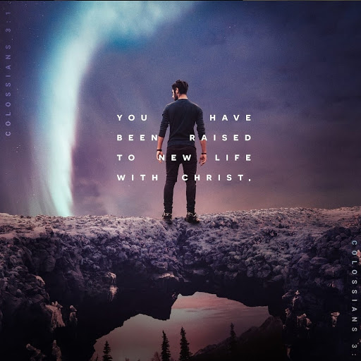 Gym «Planet Fitness», reviews and photos, 131 Gause Blvd W, Slidell, LA 70460, USA