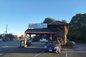 Redwood Tree Service Station image