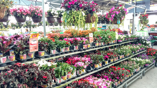 Home Improvement Store «The Home Depot», reviews and photos, 871 North Hwy 27, Lady Lake, FL 32159, USA