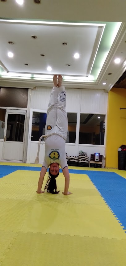 Axé Capoeira Akademi